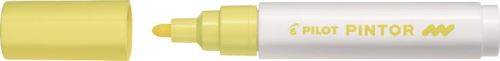 Pilot Pintor Medium